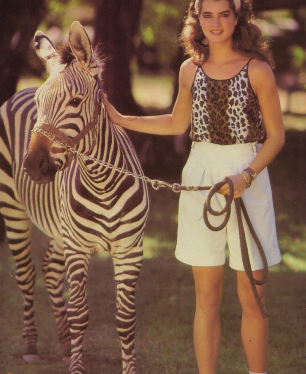 Brooke Shields: pic #1363808