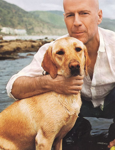 Bruce Willis: pic #57652