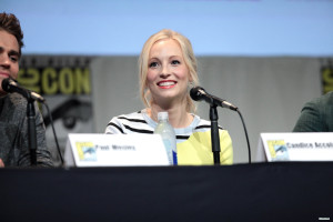 Candice Accola photo #