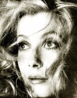 photo 8 in Deneuve gallery [id71694] 0000-00-00