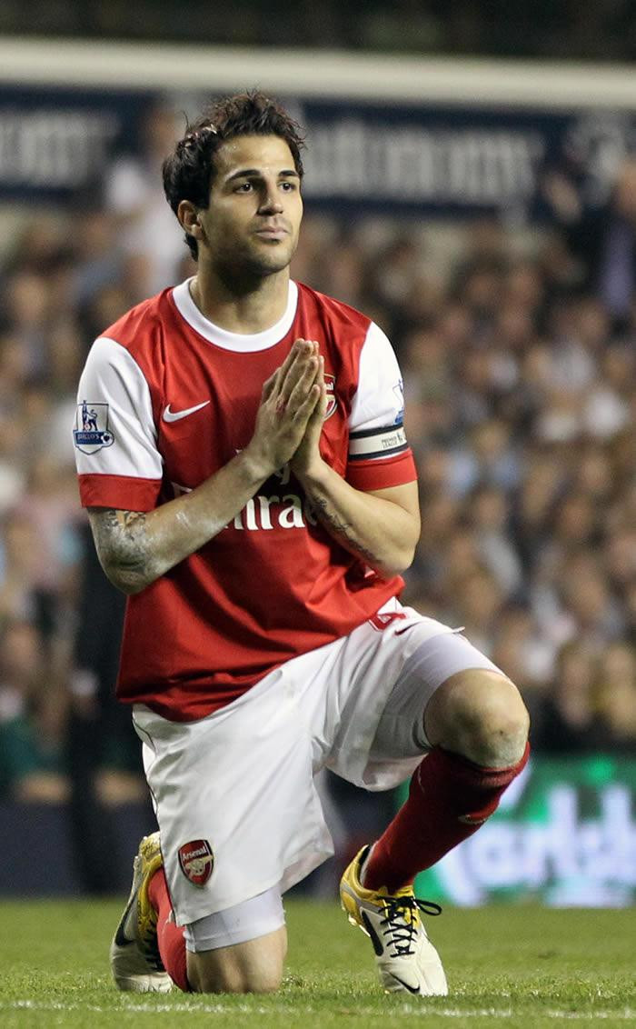 Cesc Fabregas: pic #502044