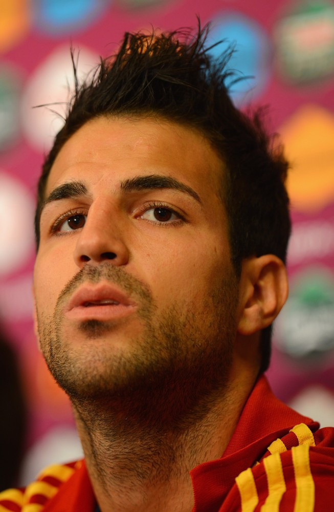 Cesc Fabregas: pic #499760