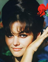 photo 25 in Claudia Cardinale gallery [id476426] 2012-04-17