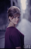 Claudia Cardinale photo #