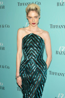 Coco Rocha photo #