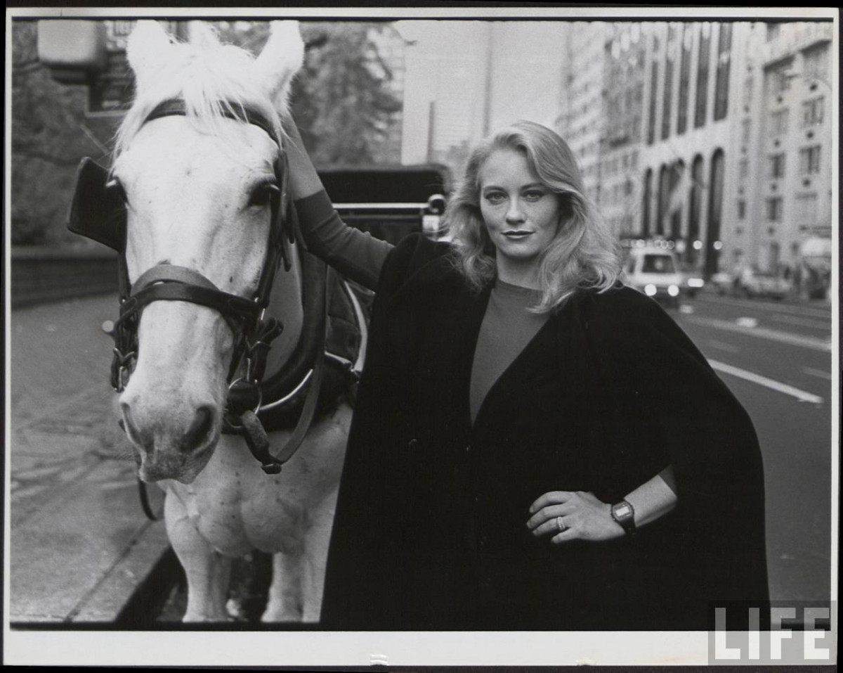 Cybill Shepherd: pic #271824