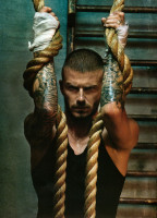 David Beckham photo #