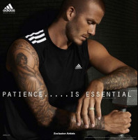 David Beckham photo #