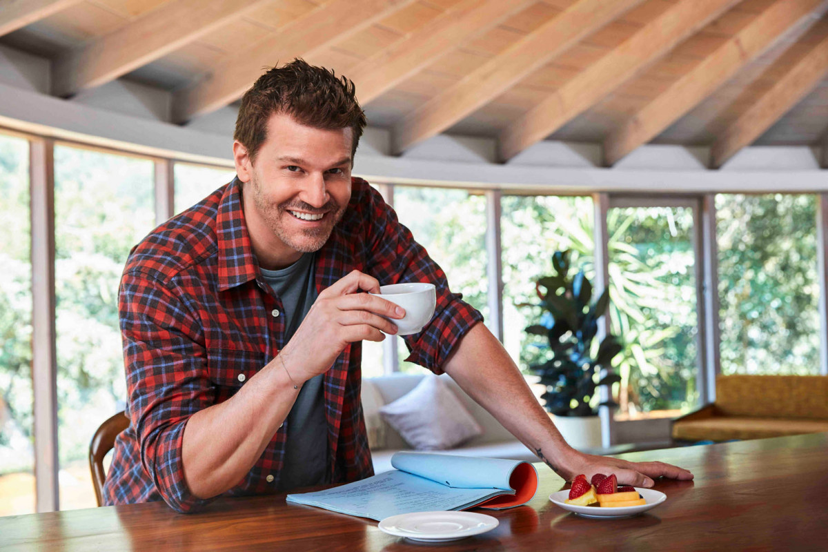 David Boreanaz: pic #1253564