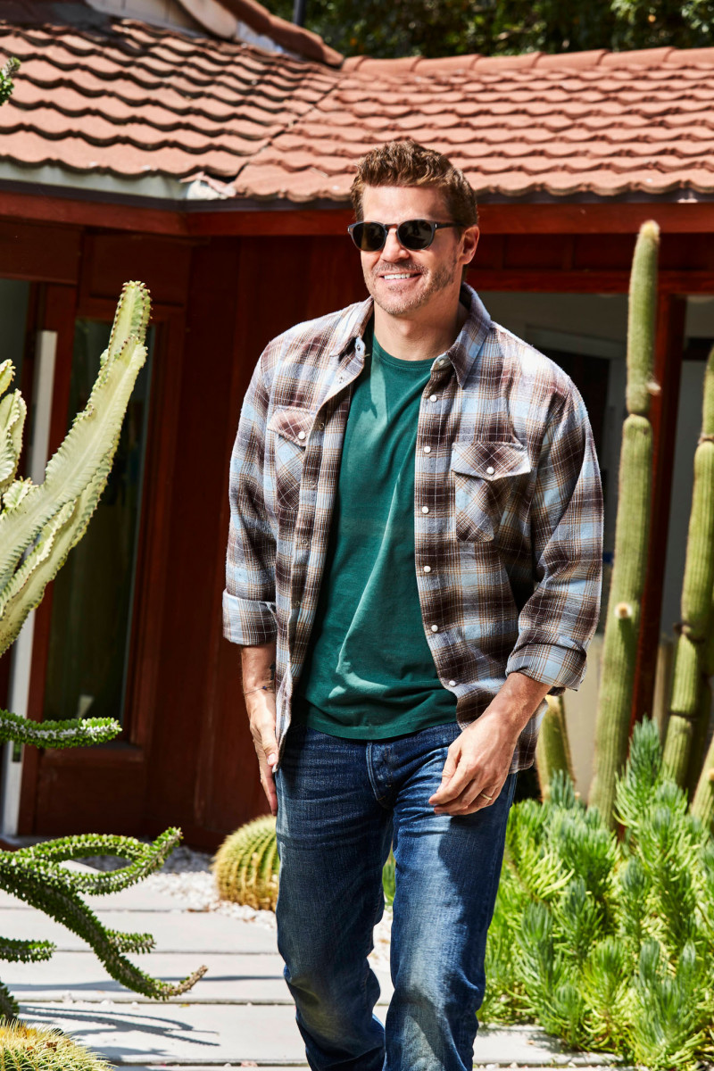 David Boreanaz: pic #1253557