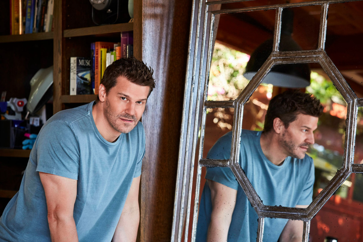 David Boreanaz: pic #1253562