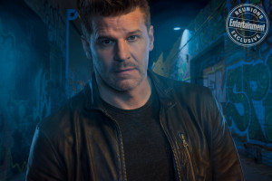 photo 8 in David Boreanaz gallery [id1256614] 2021-05-31