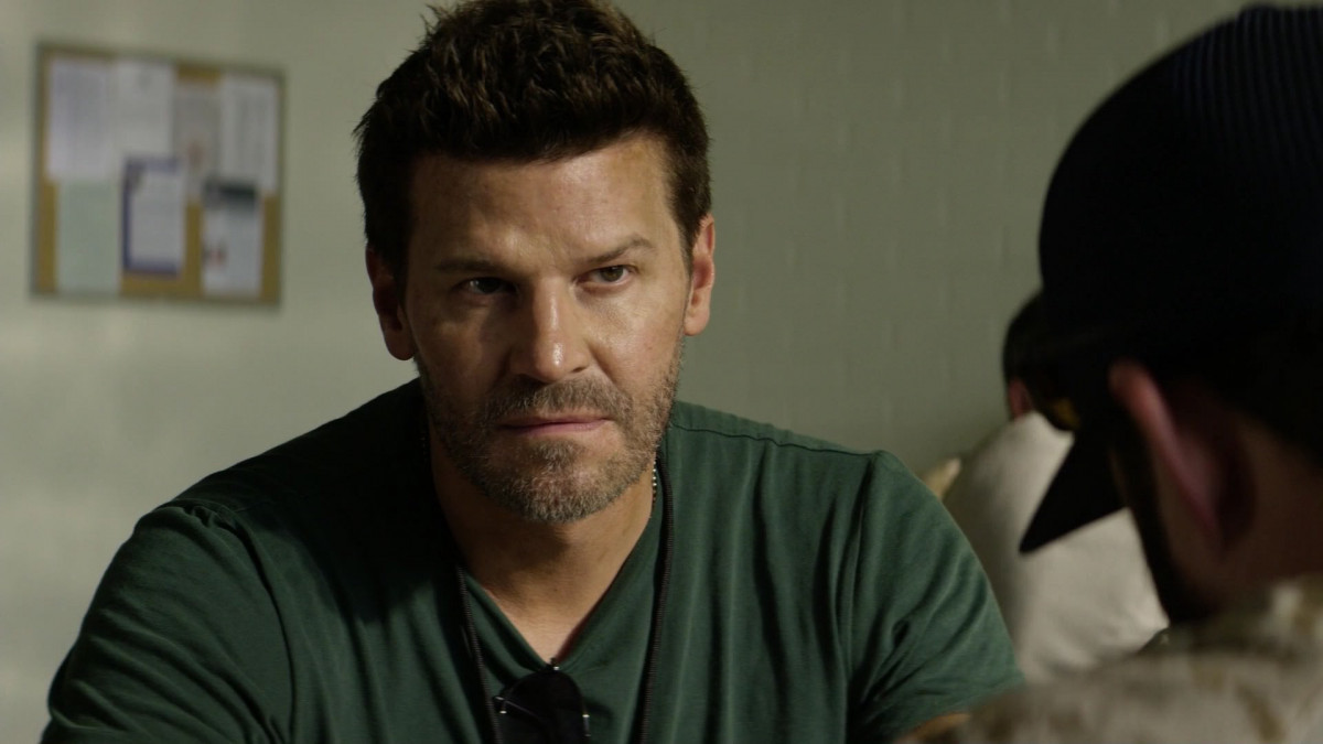 David Boreanaz: pic #1258651