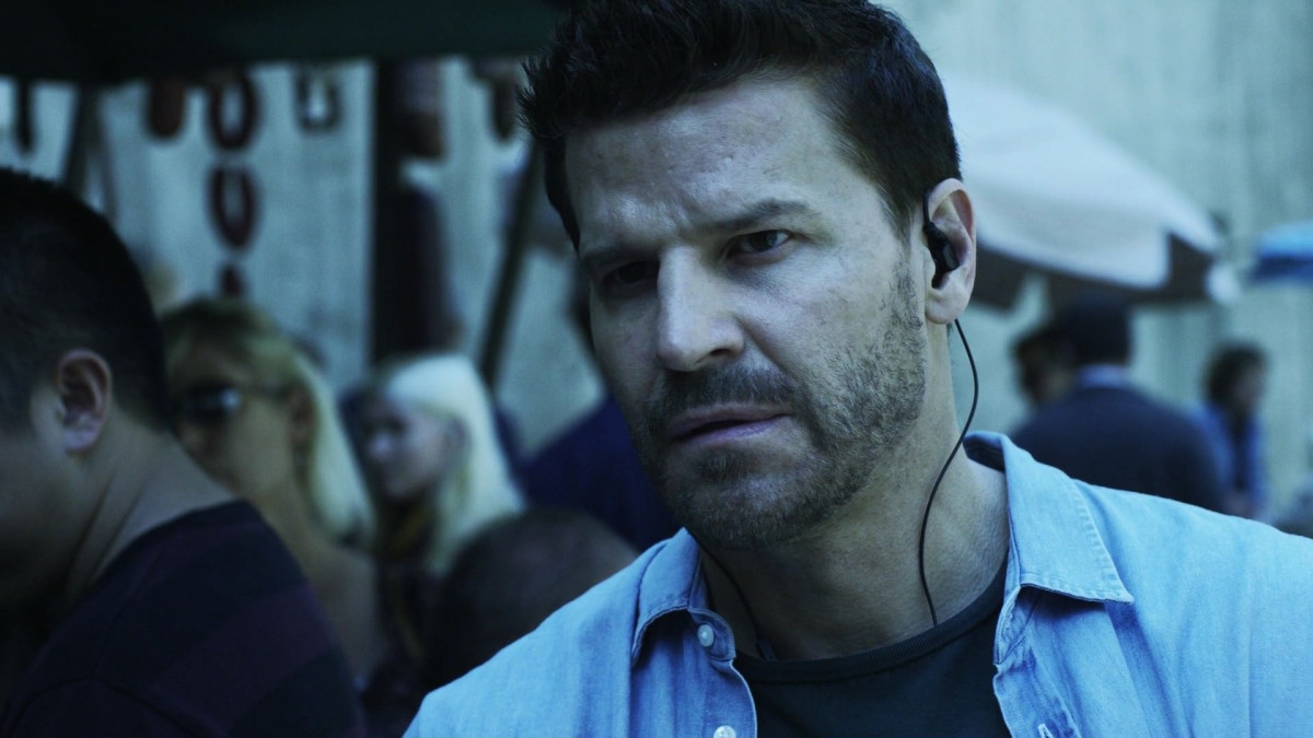 David Boreanaz: pic #1257428