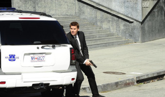 David Boreanaz photo #