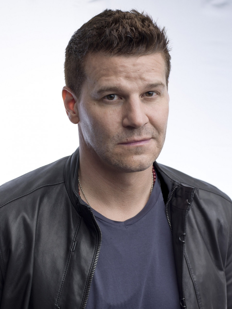 David Boreanaz: pic #1280293