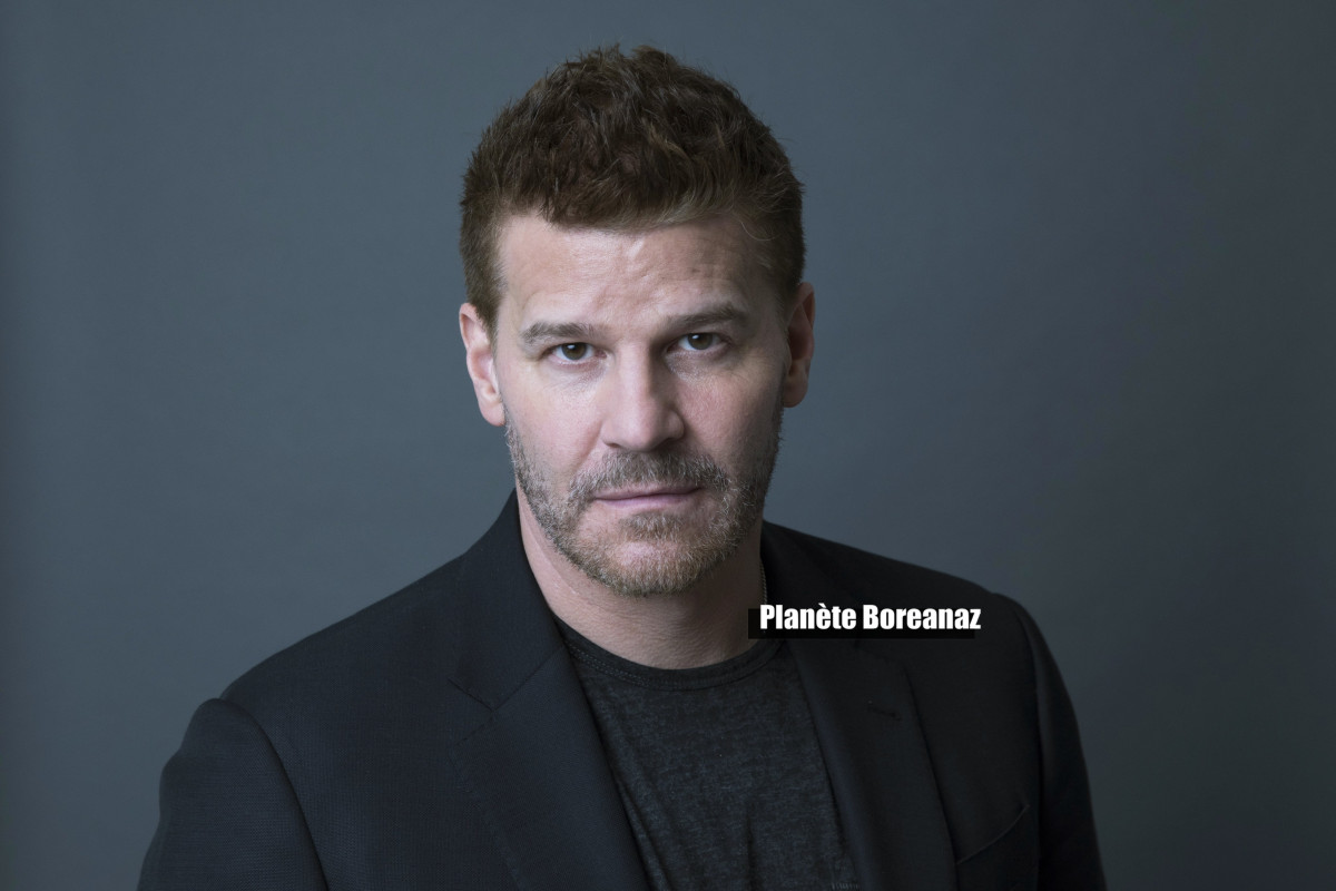 David Boreanaz: pic #1256931