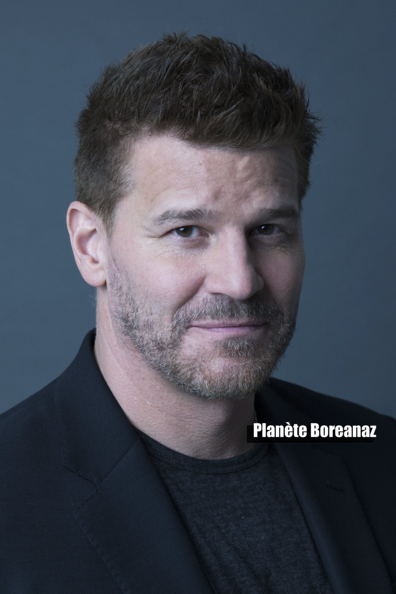 David Boreanaz: pic #1256929