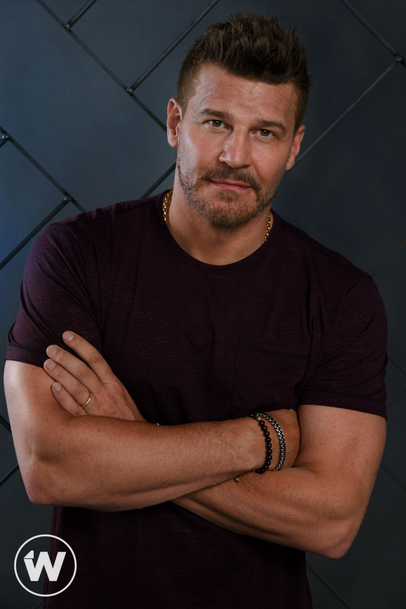 David Boreanaz: pic #1255123