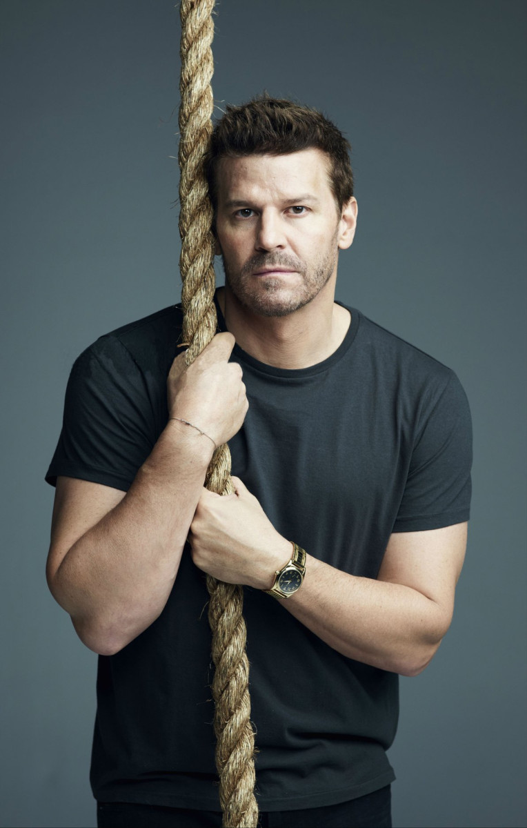 David Boreanaz: pic #1273374