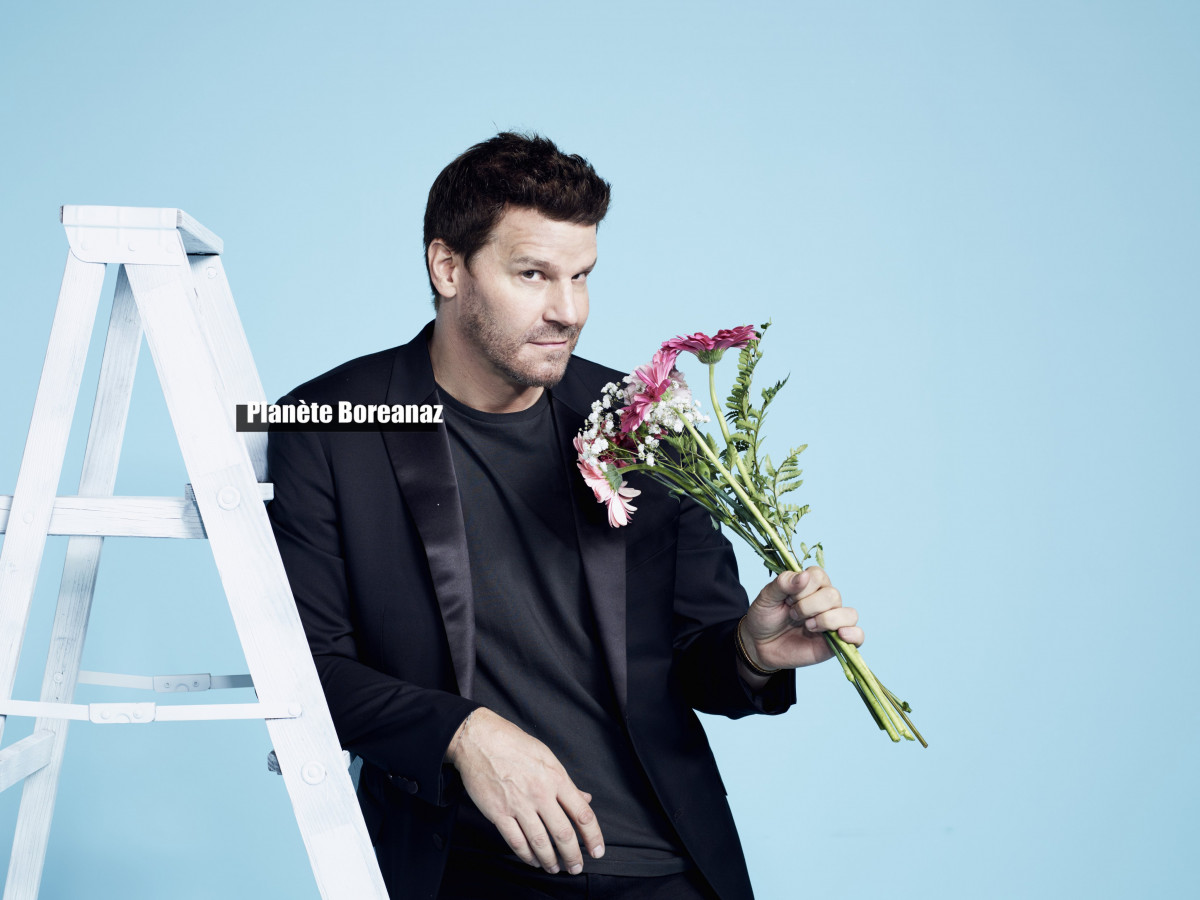 David Boreanaz: pic #1273373