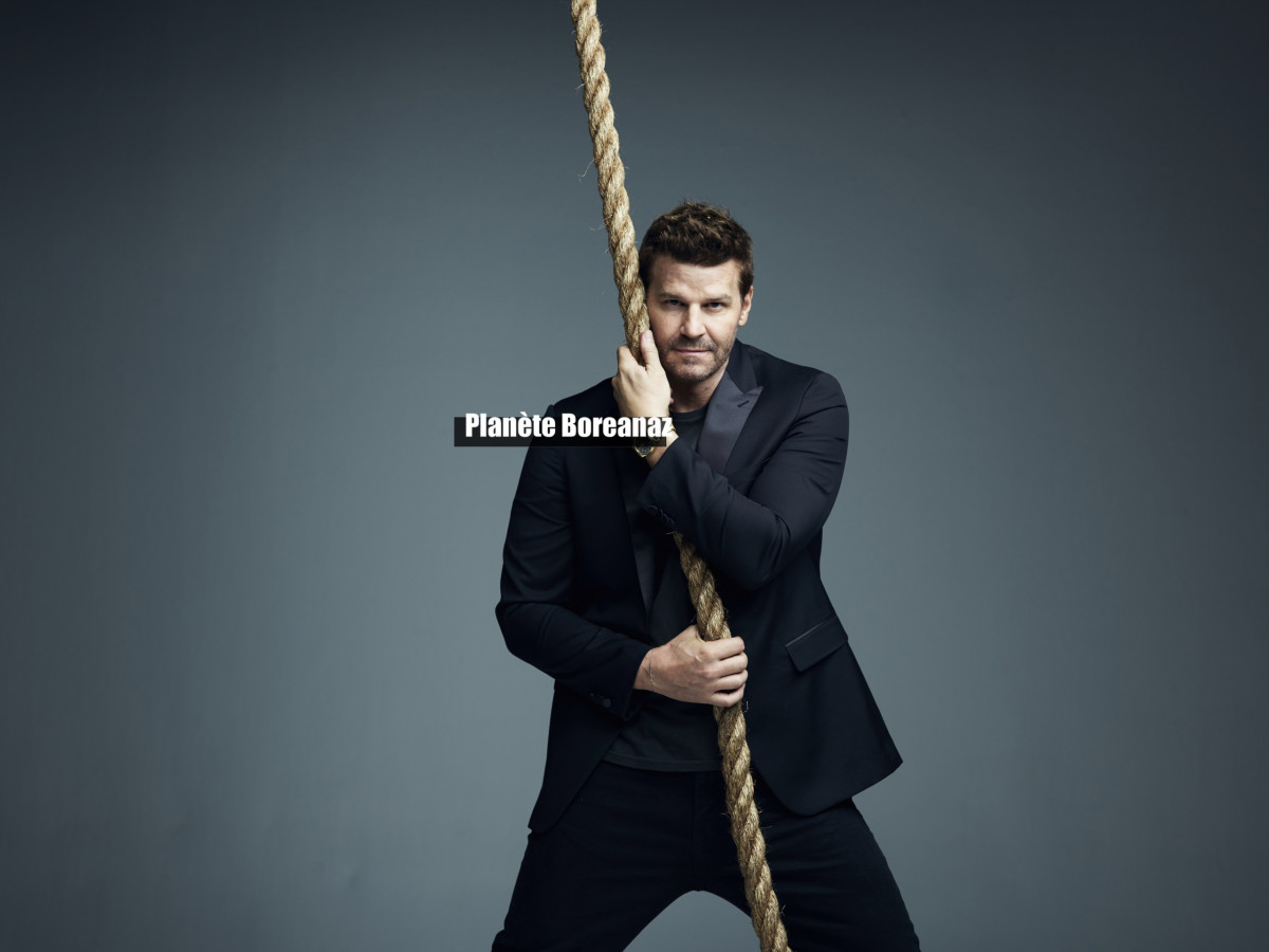 David Boreanaz: pic #1273372