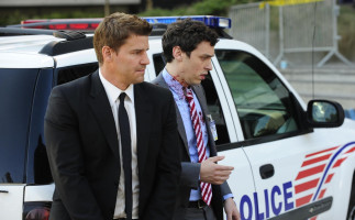 David Boreanaz photo #