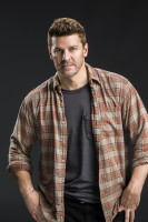 photo 18 in David Boreanaz gallery [id1255934] 2021-05-18