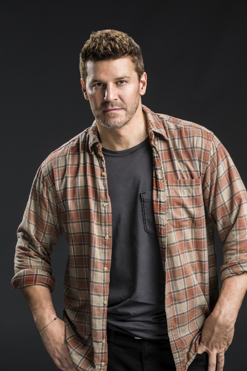 David Boreanaz: pic #1255934