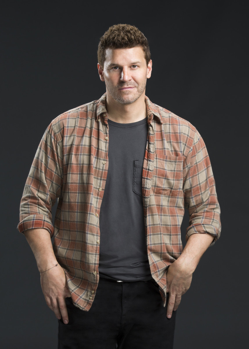 David Boreanaz: pic #1255935