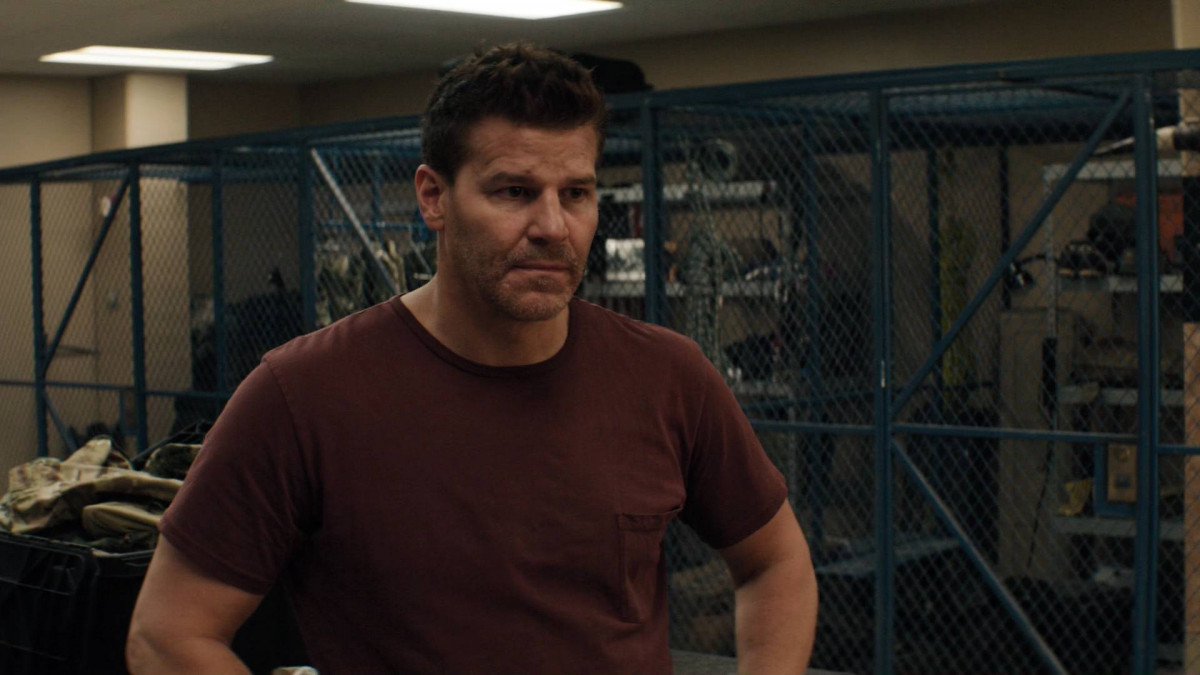 David Boreanaz: pic #1258527