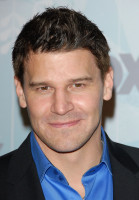 David Boreanaz photo #