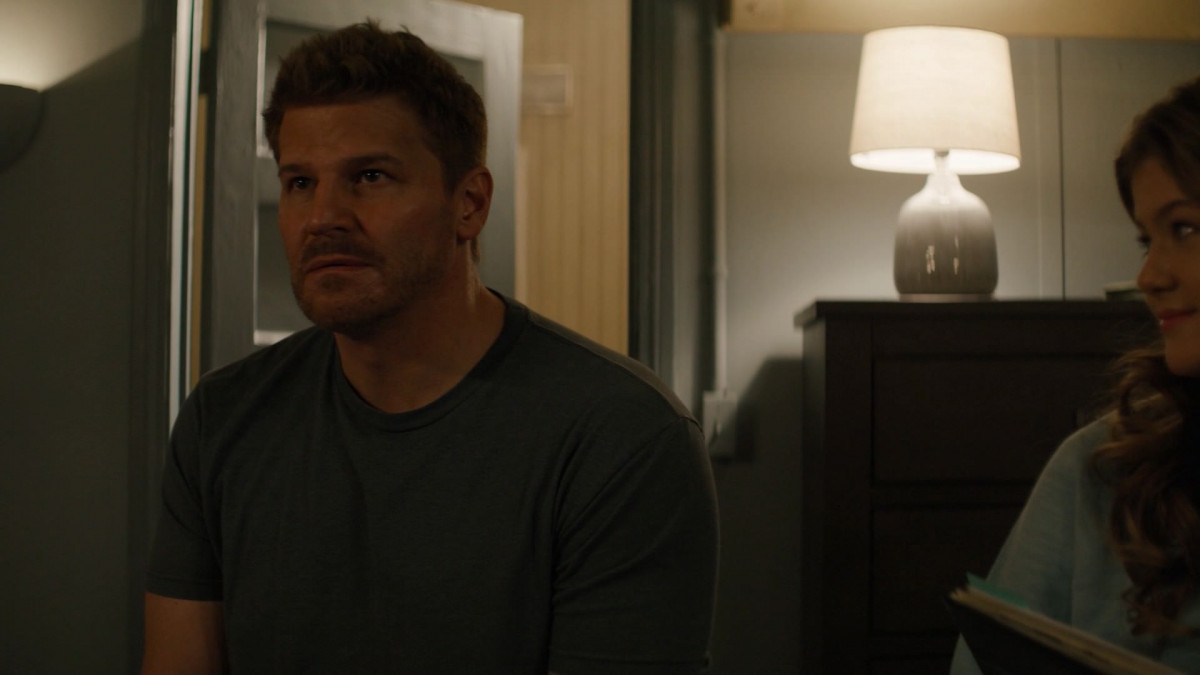 David Boreanaz: pic #1273140