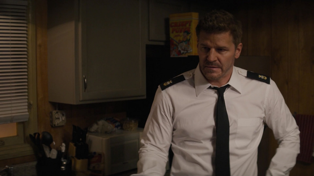 David Boreanaz: pic #1273141