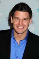 David Boreanaz photo #