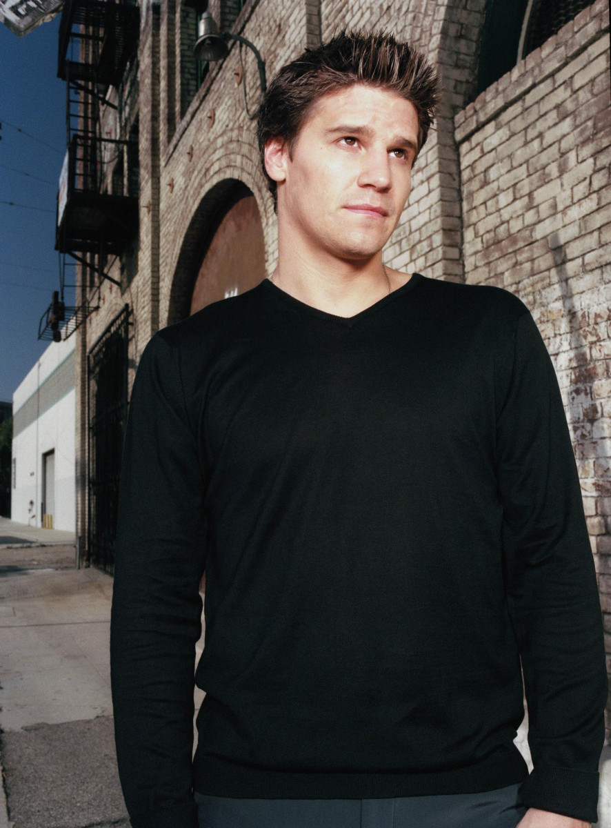 David Boreanaz: pic #46214