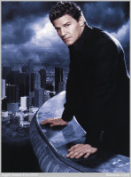 David Boreanaz photo #