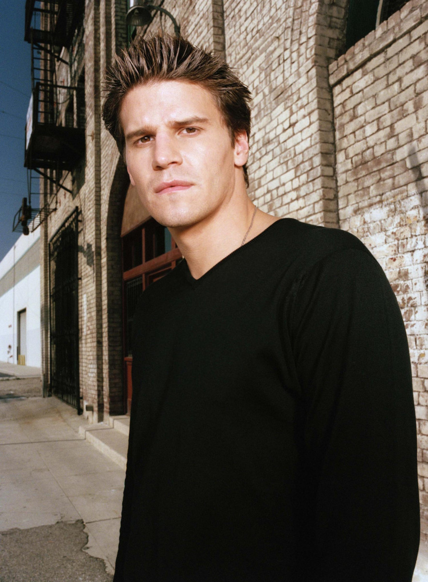 David Boreanaz: pic #46213