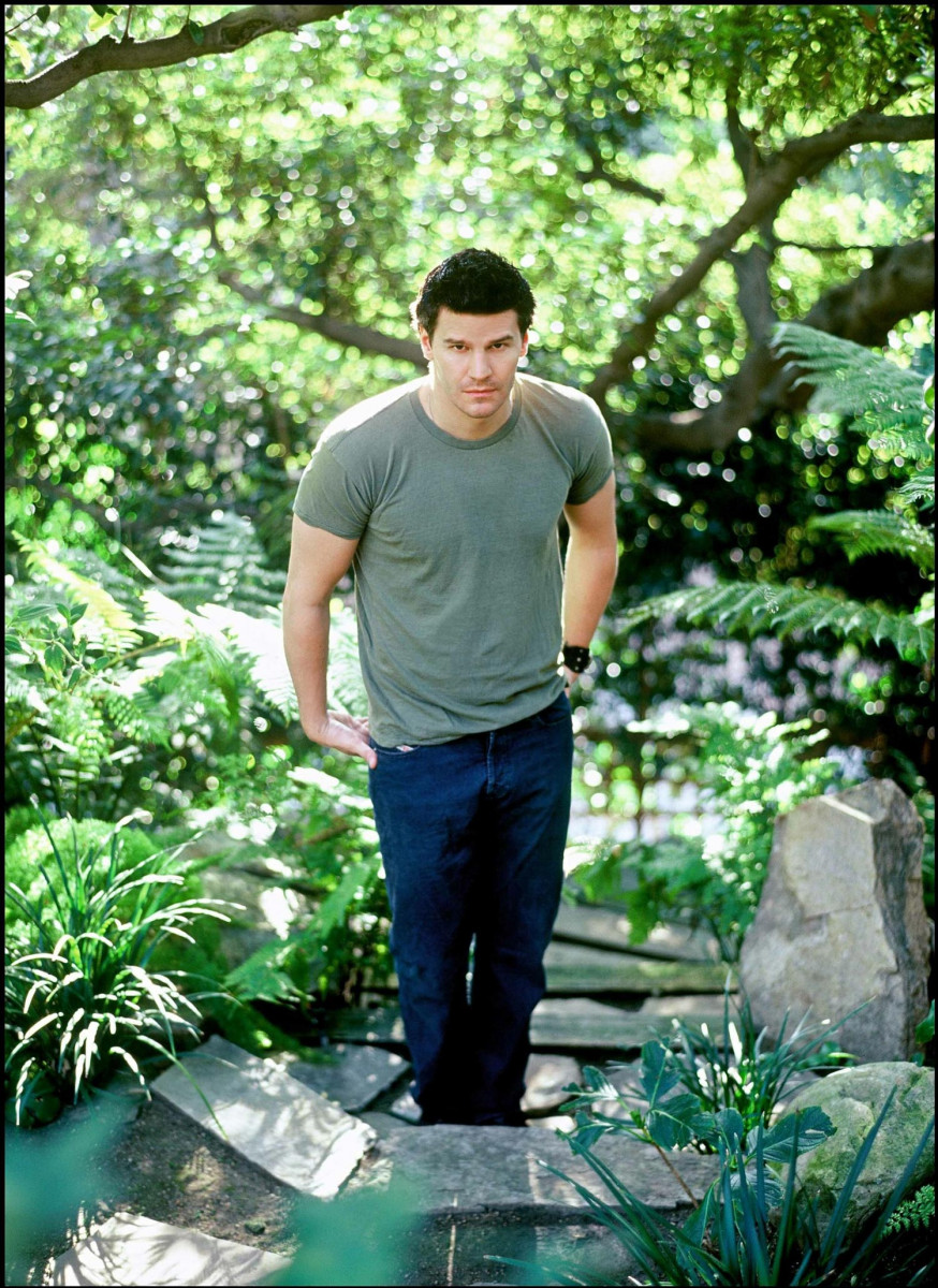 David Boreanaz: pic #36792