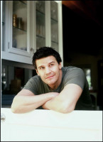 David Boreanaz photo #