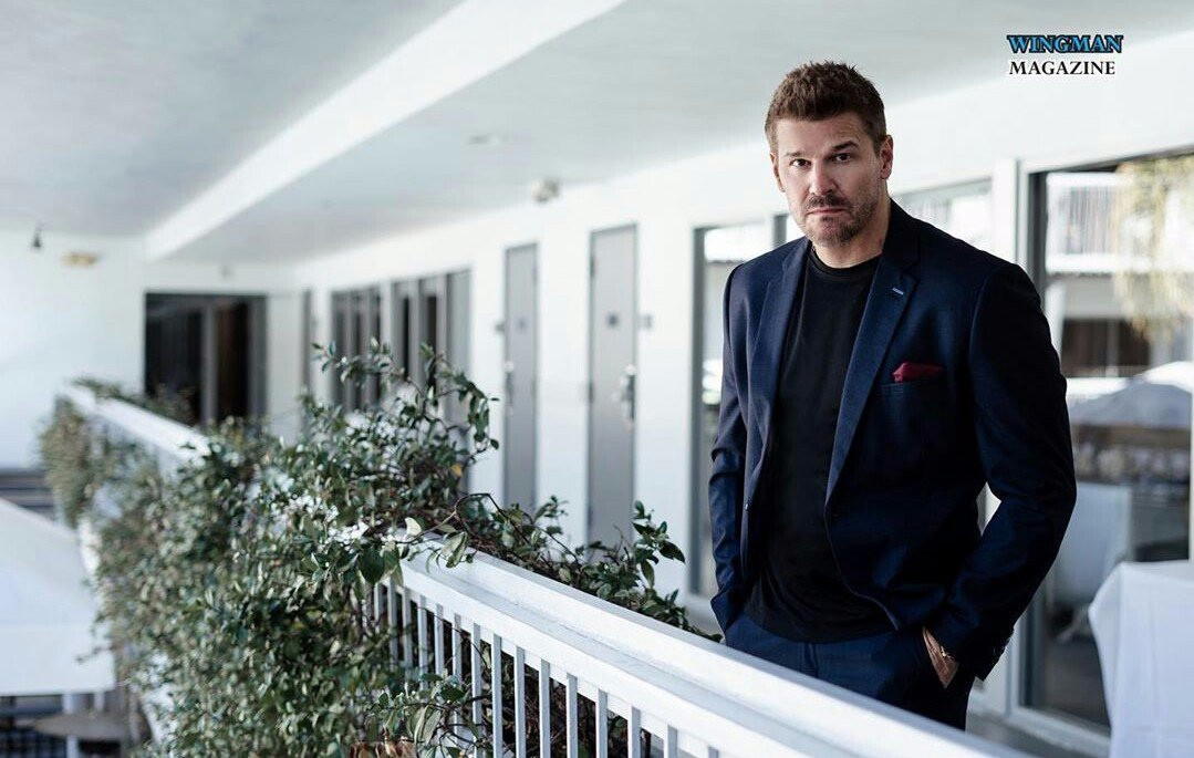 David Boreanaz: pic #1274924