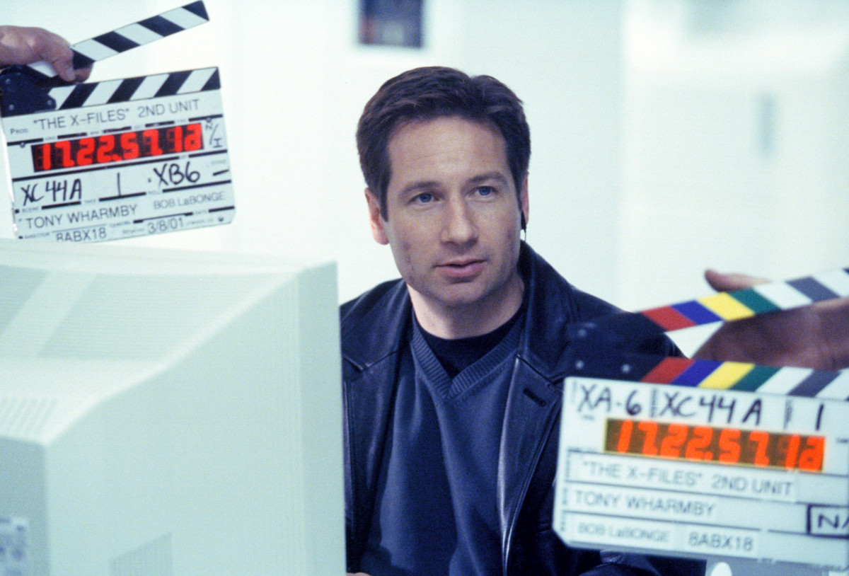 David Duchovny: pic #446459