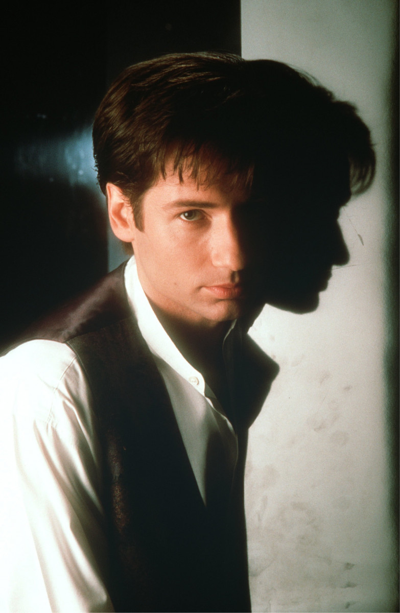 David Duchovny: pic #446447