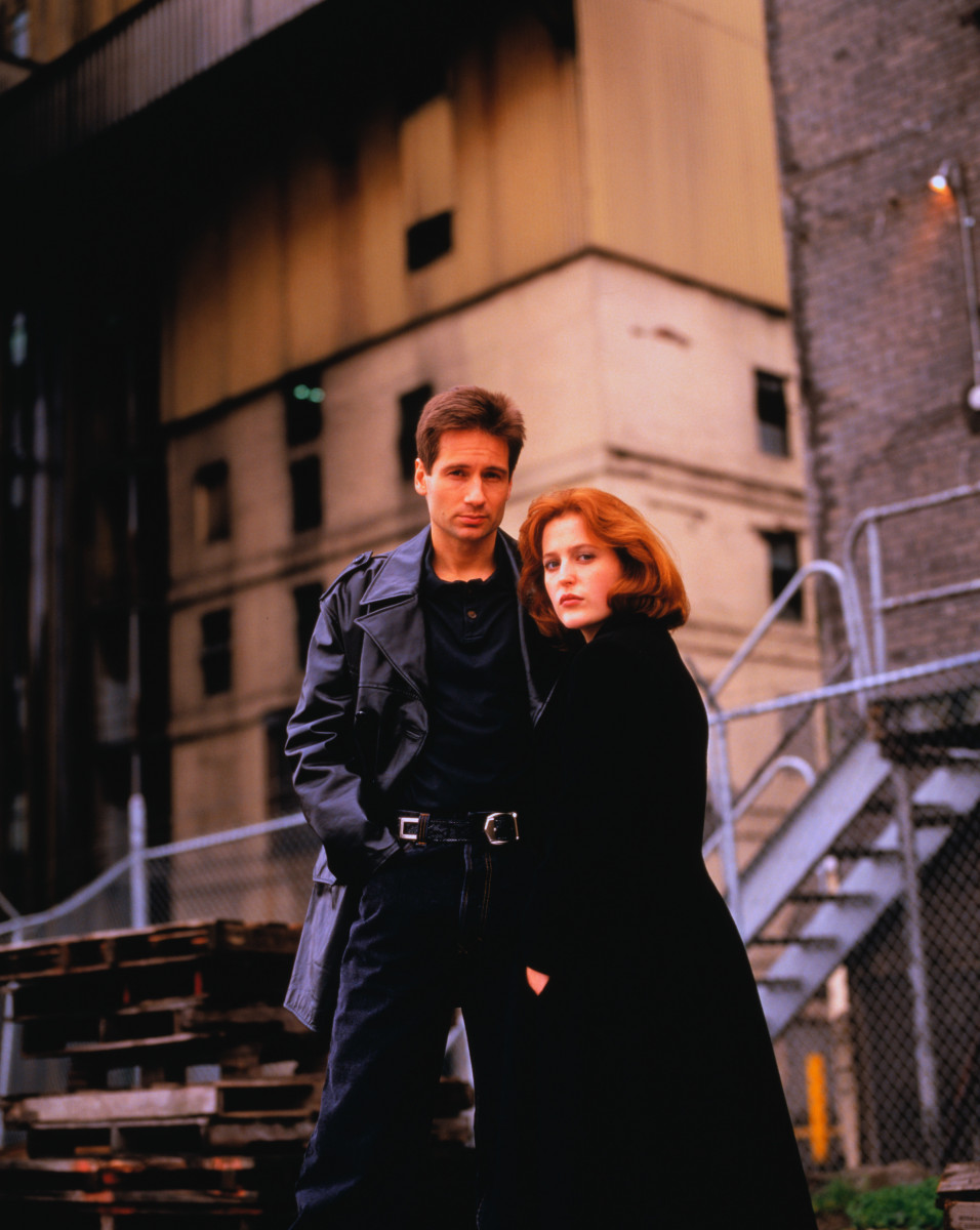 David Duchovny: pic #446444