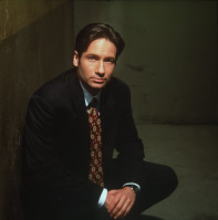 photo 16 in David Duchovny gallery [id362256] 2011-03-29