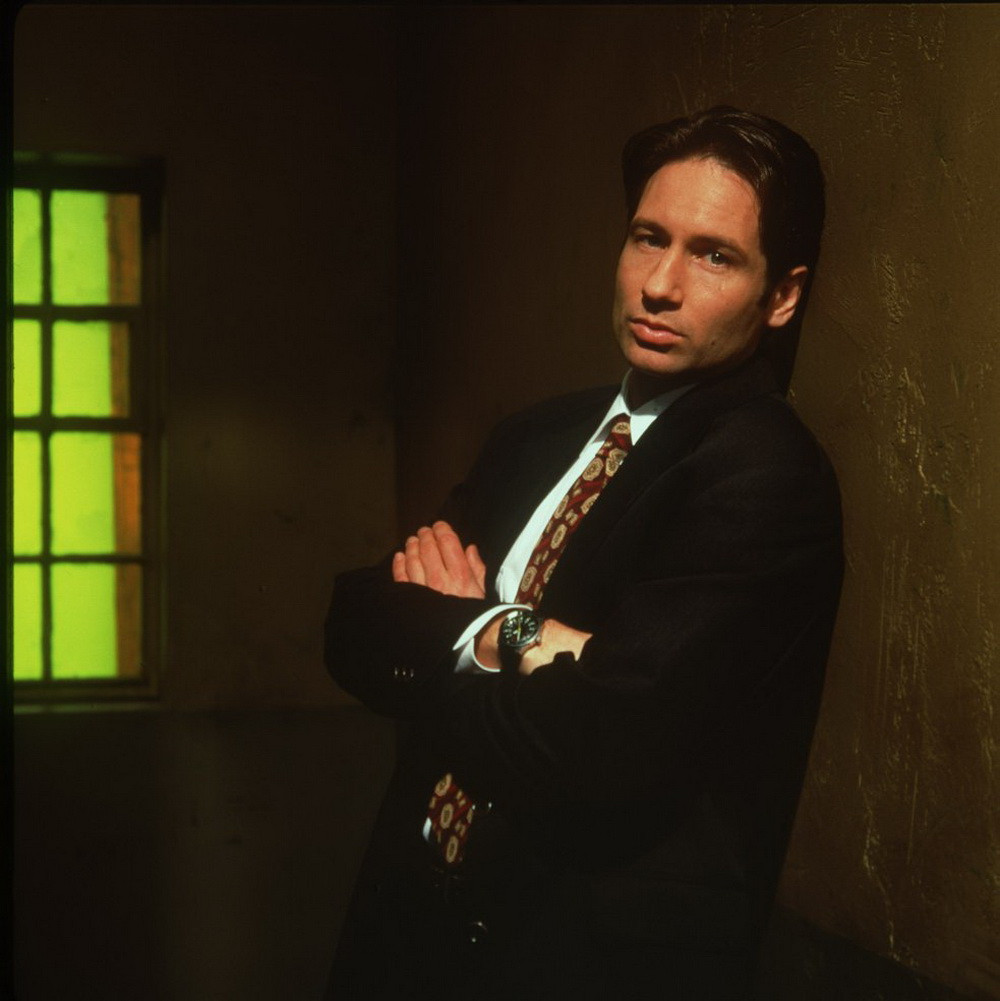David Duchovny: pic #362247