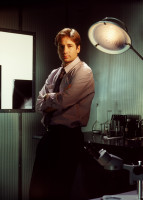 photo 15 in Duchovny gallery [id362259] 2011-03-29