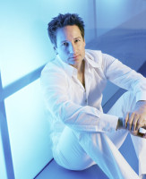 photo 21 in David Duchovny gallery [id178812] 2009-09-04