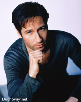 David Duchovny photo #