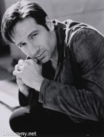 photo 15 in Duchovny gallery [id60770] 0000-00-00